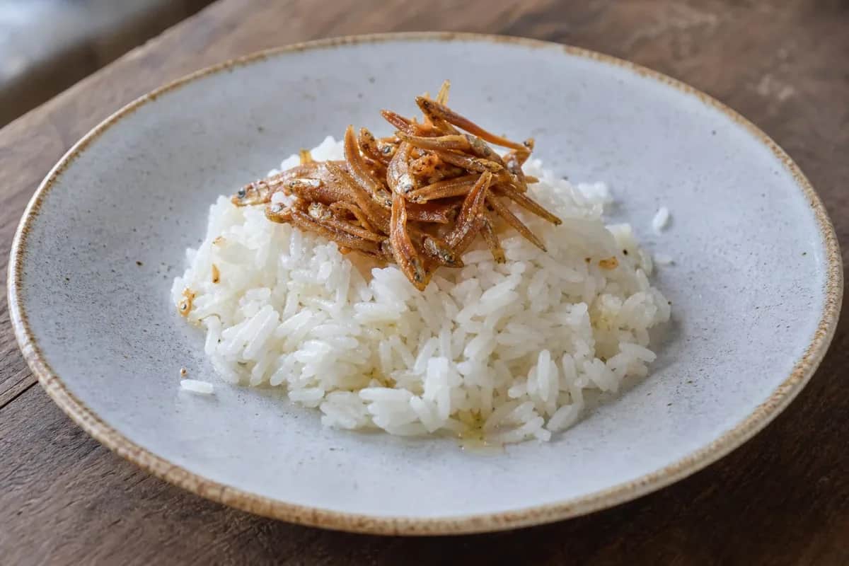 Plated Nasi Lemak with creamy coconut rice, sambal, crispy anchovies, and garnishes.